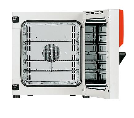 Forced convection oven (BINDER)--
    